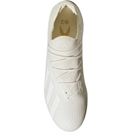 Adidas X 18.2 Fg M DB2181 Fußballschuhe weiß weiß 2