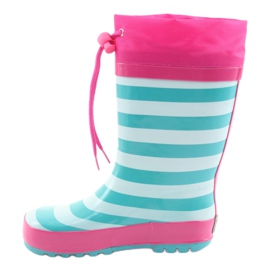 American Club Amerikanische Gummistiefel Kätzchen nach der Ausstellung rosa grün 2