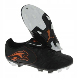 Fußballschuhe Puma Boca Fg Jr 102532 03 schwarz schwarz 1