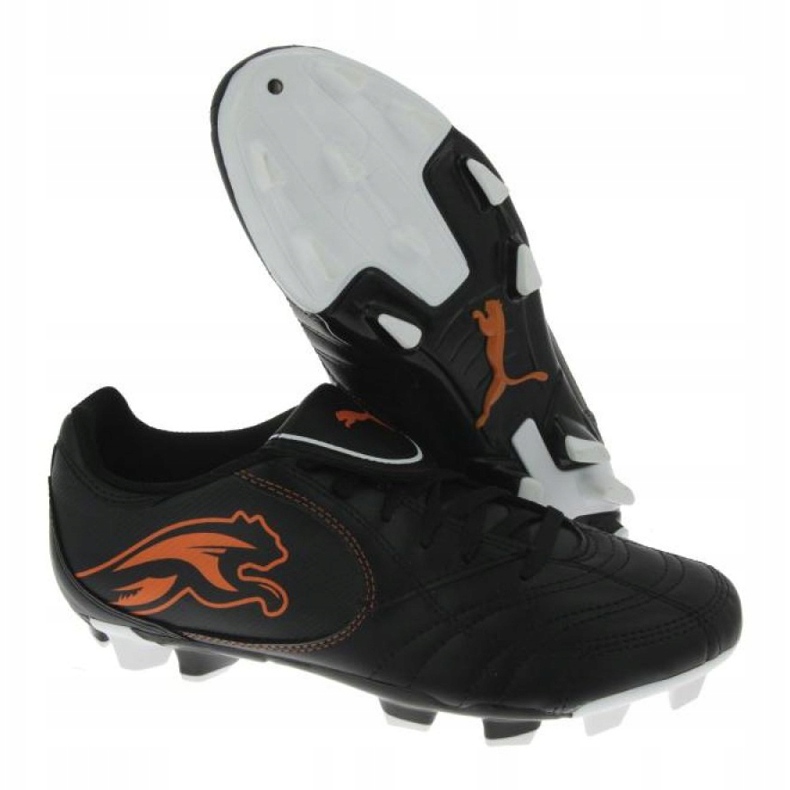 Fußballschuhe Puma Boca Fg Jr 102532 03 schwarz schwarz 1