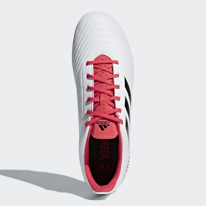 Adidas Predator 18.4 FxG M CM7669 Fußballschuhe mehrfarbig weiß 2