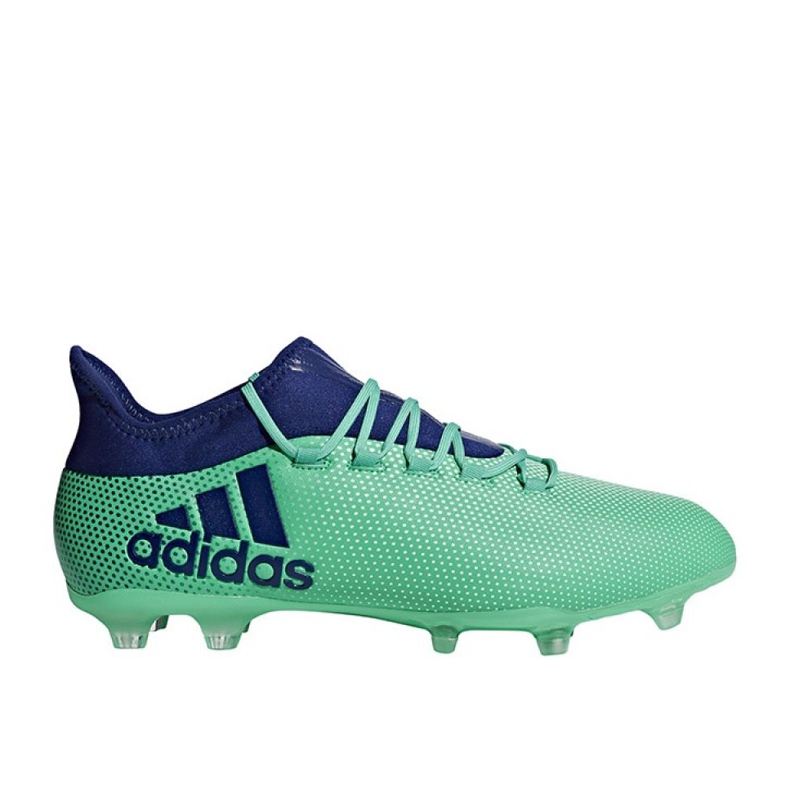 Adidas X 17.2 Fg M CP9189 Fußballschuhe mehrfarbig grün 1