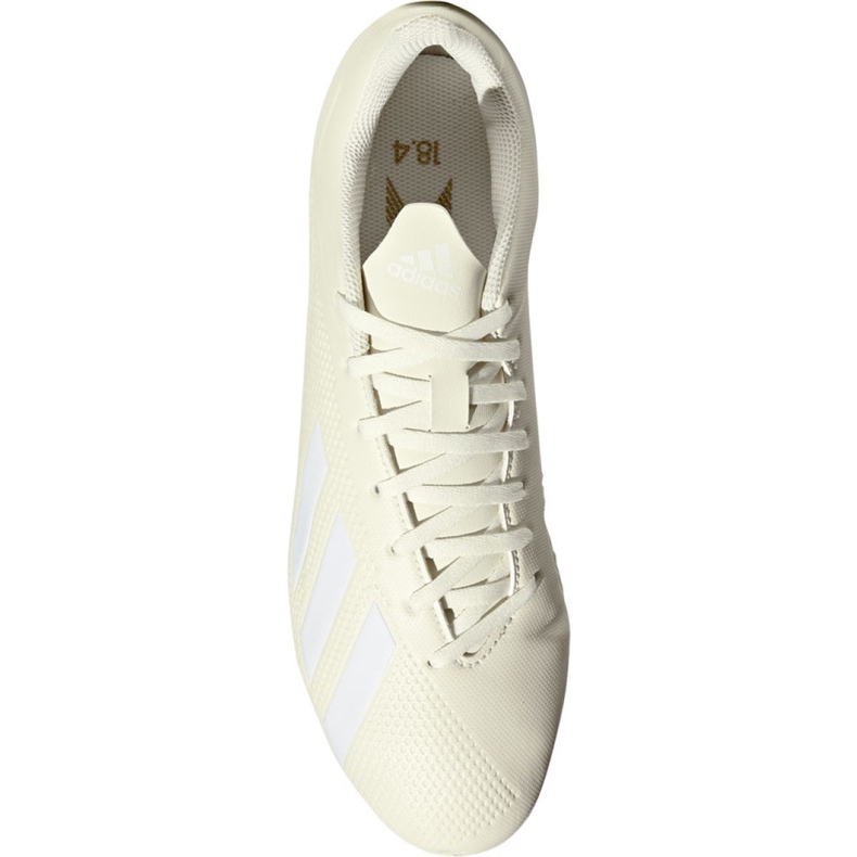 Adidas X 18.4 Fg M DB2187 Fußballschuhe beige weiß 2