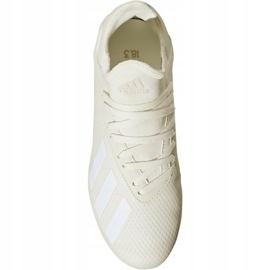 Adidas X 18.3 Fg Jr DB2417 Fußballschuhe mehrfarbig weiß 2