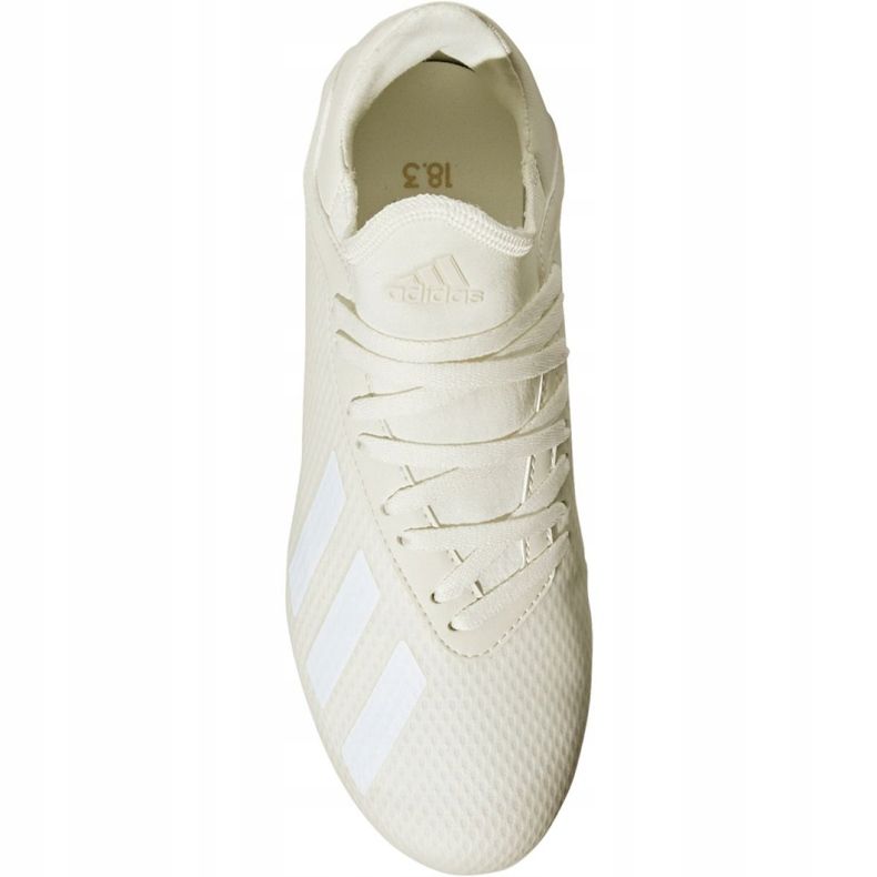 Adidas X 18.3 Fg Jr DB2417 Fußballschuhe mehrfarbig weiß 2