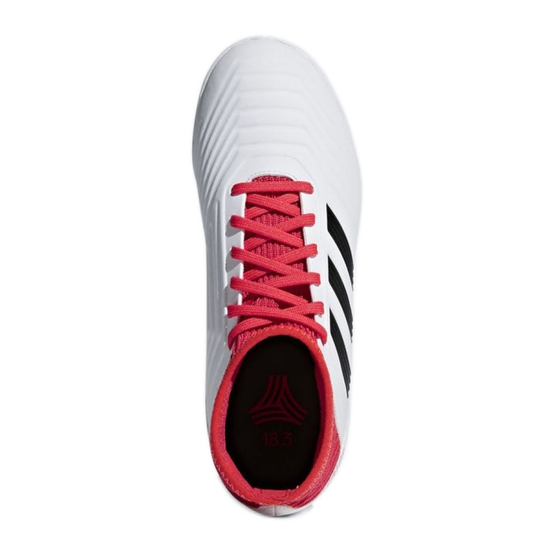 Hallenschuhe adidas Predator Tango 18.3 In Jr CP9073 mehrfarbig weiß 2