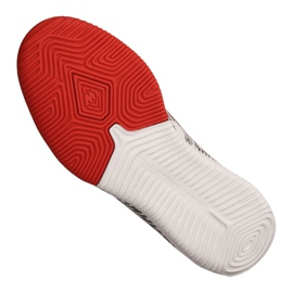 Hallenschuhe Nike Jr Vapor 12 Academy Gs Njr Ic Jr AO9474-170 grau grau 2