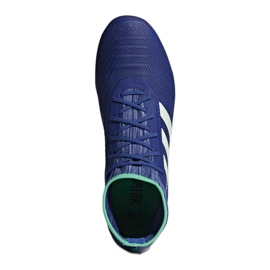 Adidas Predator 18.2 Fg M CP9293 Fußballschuhe mehrfarbig blau 1