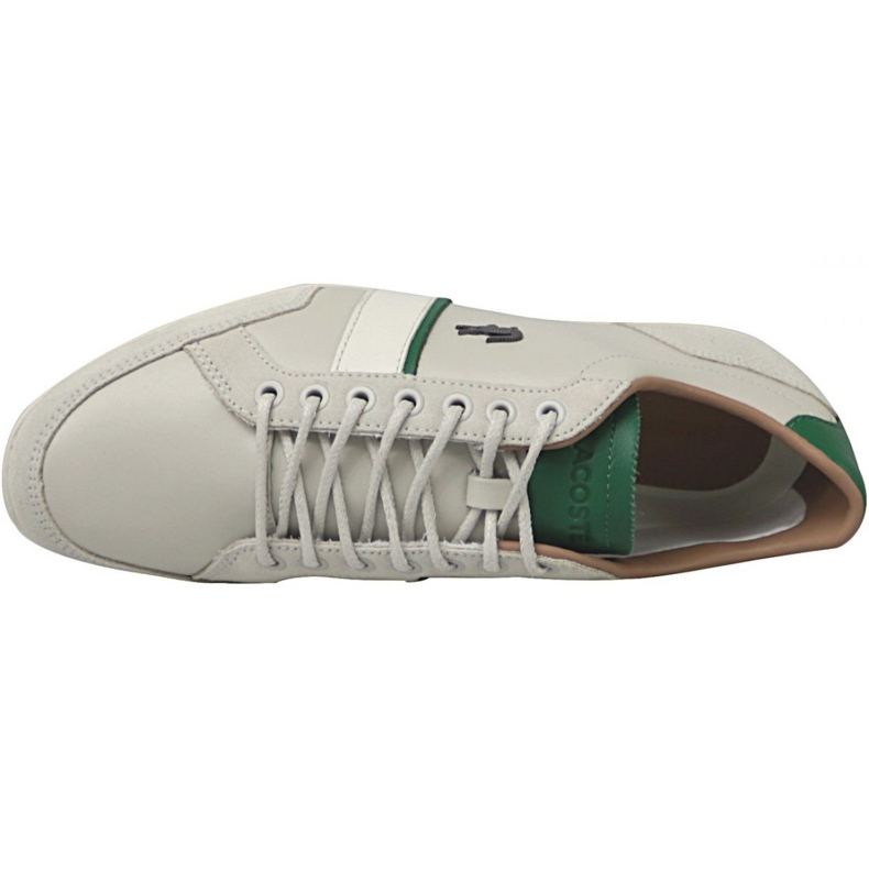 Lacoste Alisos 117 1 M CAM1018098 mehrfarbig 2