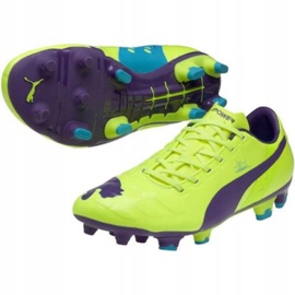 Fußballschuhe Puma Evo Power 2 Fg M 102945 04 gelb gelb 1