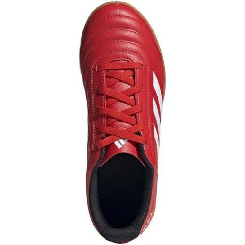 Hallenschuhe adidas Copa 20.4 In Jr EF1928 rot rot 1