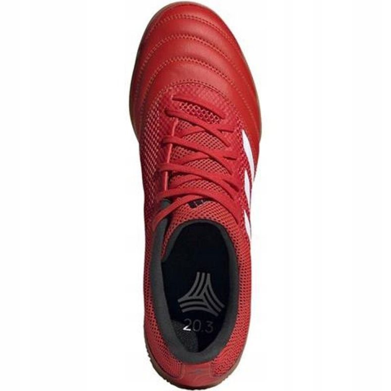 Hallenschuhe adidas Copa 20.3 In Sala M G28548 rot rot 1