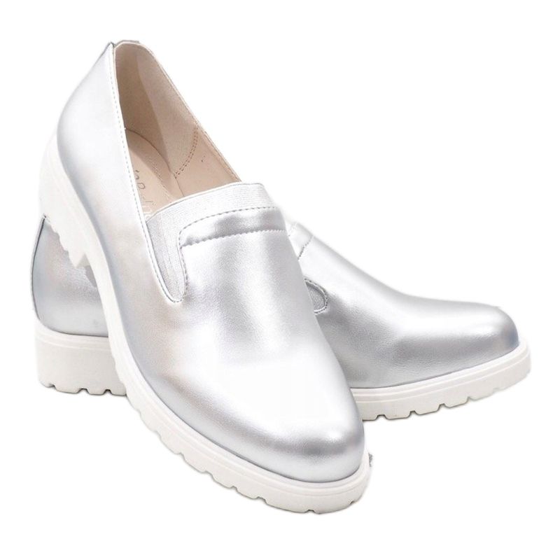 Silberne Slipper auf der Plattform XC683-2 1