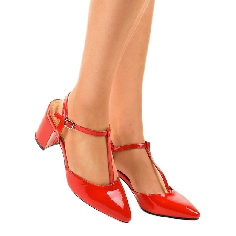 Rote Pumpen am D85-17 Pfosten 1