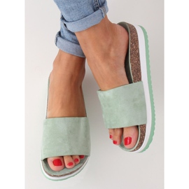 Aquamarin-Hausschuhe für Damen CK184P Grün 1