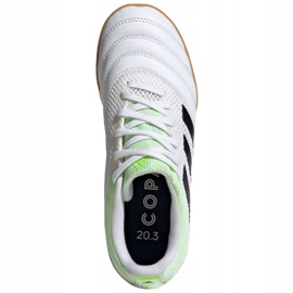Hallenschuhe adidas Copa 20.3 In Sala Jr EF1916 mehrfarbig weiß 1