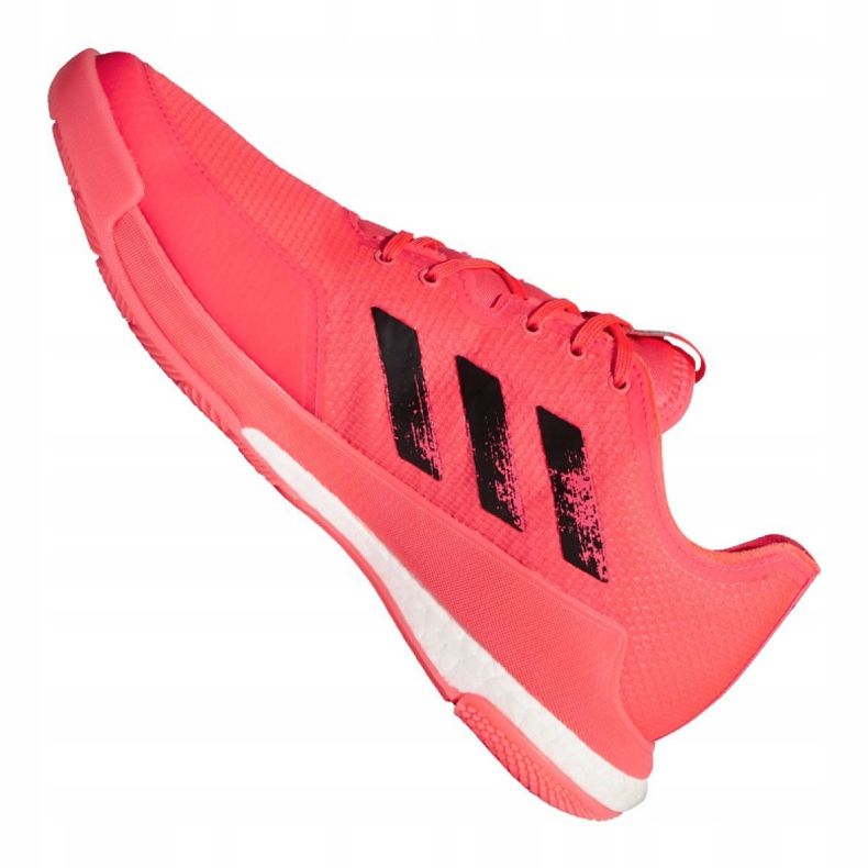 Adidas Crazyflight Tokyo M FX1764 Volleyballschuhe mehrfarbig rosa 1