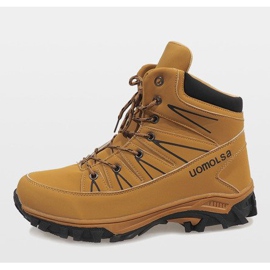 Camel isolierte Schneeschuhe F-23-3 braun 1