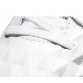 Nike Legend 8 Elite Fg M AT5293-163 Fußballschuhe mehrfarbig weiß 2