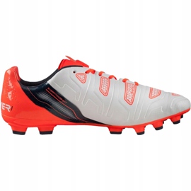 Puma Evo Power 1.2 Ag 103213 05 Fußballschuhe grau 1