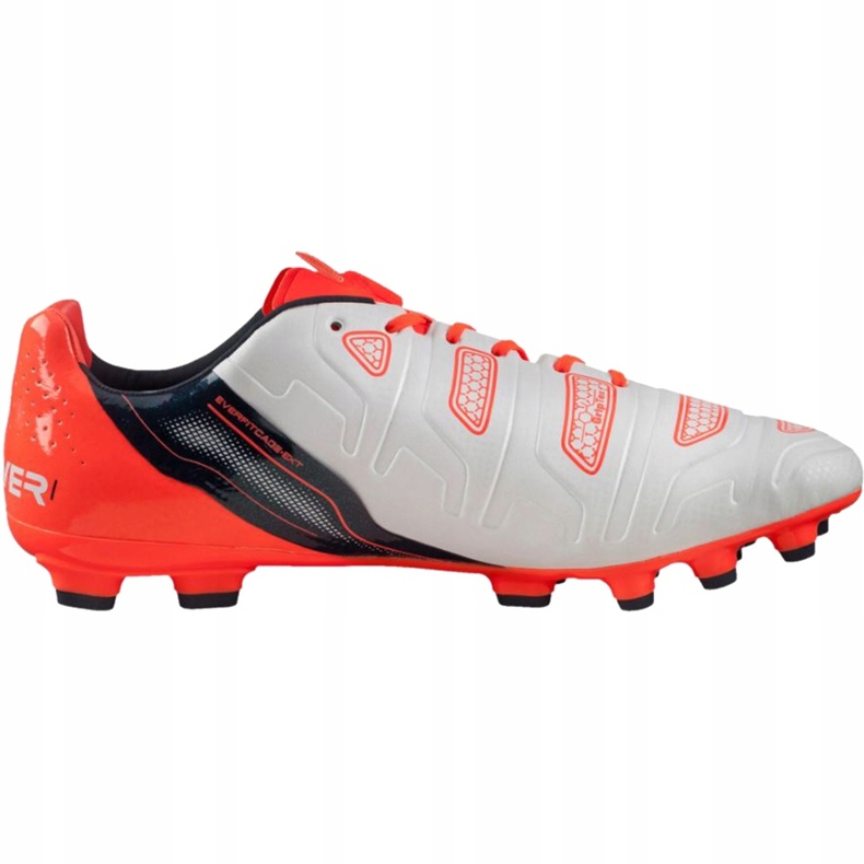 Puma Evo Power 1.2 Ag 103213 05 Fußballschuhe grau 1