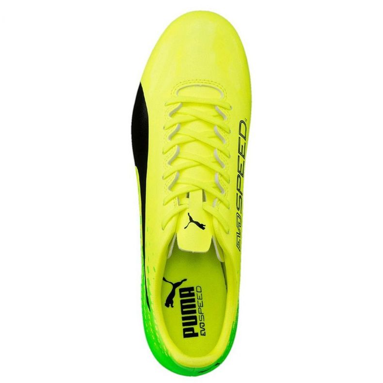 Fußballschuhe Puma Evo Speed ​​​​17.4 Fg M 104017 01 grün 1