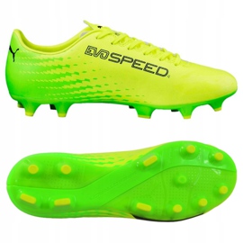 Fußballschuhe Puma Evo Speed ​​​​17.4 Fg M 104017 01 grün 2