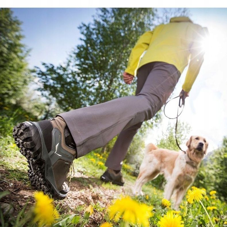 Salewa Wander Hiker Gtx W 63461 2460 Schuhe grau 1