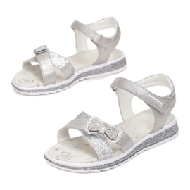 Vices Schraubstöcke 5SD734-441-grau / silber silber- 1