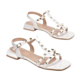 Vices Schraubstöcke CIC-10-71-weiß 1