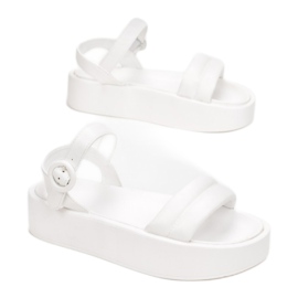 Vices Schraubstöcke 2257-71-weiß 1