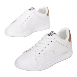 Vices Schraubstöcke FY-86-449-Champagner golden 1