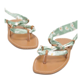 Vices Schraubstöcke 6919-63-l.grün 1