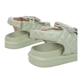 Vices Schraubstöcke 1088-61-grün 1