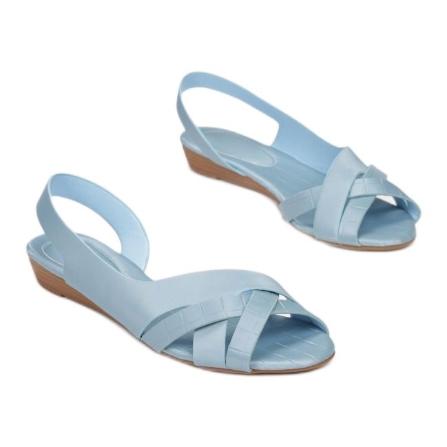 Vices Schraubstöcke CM003-51-blau 1