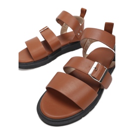 Vices Laster 1957-1-68-Kamel braun 1