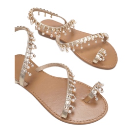 Vices Schraubstöcke 8839-F18-60-gold golden 1