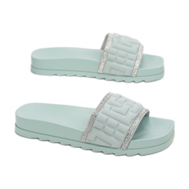 Vices Schraubstöcke BJ555-61-grün 1