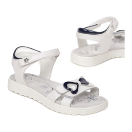 Vices Schraubstöcke B-3156-101-weiß / blau 1