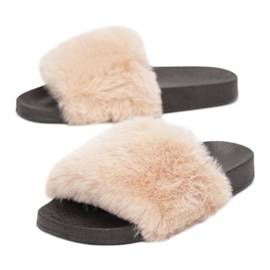 Vices Schraubstöcke CD-201-42-beige 1