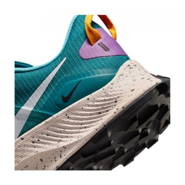 Nike Pegasus Trail 3 M DA8697-300 Laufschuh blau 1