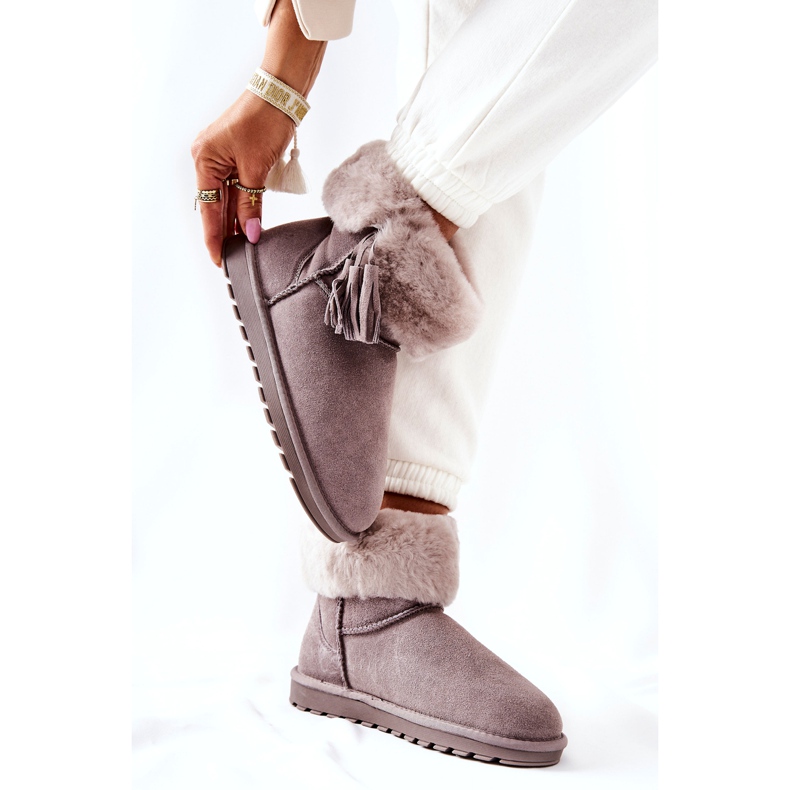 Mit graue Rande isolierte Weinchenfockfock 4