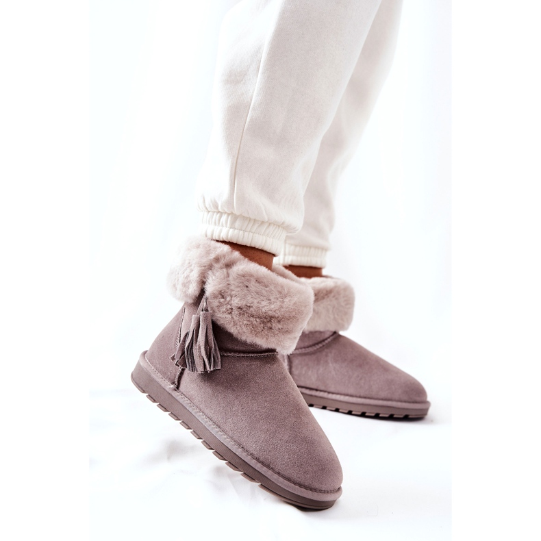 Mit graue Rande isolierte Weinchenfockfock 3