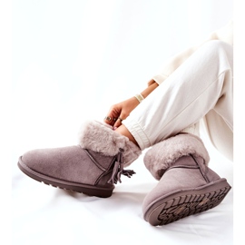 Mit graue Rande isolierte Weinchenfockfock 1