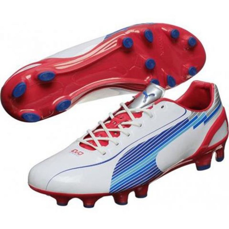 Fußballschuhe Puma Evo Speed ​​​​1 Fg M 102527 01 weiß weiß 1