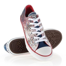Converse Chuck Taylor All Star Jr 647644C mehrfarbig 1