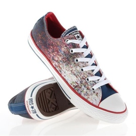 Converse Chuck Taylor All Star Jr 647644C mehrfarbig 2