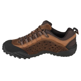 Merrell Intercept J73705 Schuhe braun 1