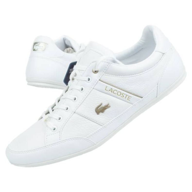 Lacoste Chaymon 0721 M 7-41CMA006321G Schuhe weiß 1