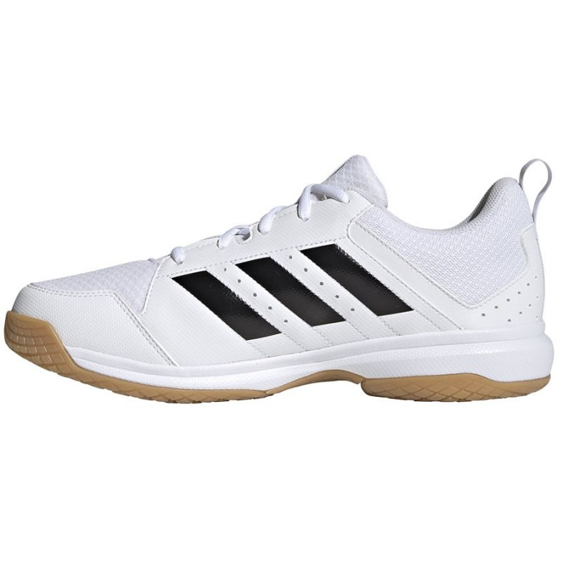 Adidas Ligra 7 M GZ0069 Volleyballschuhe weiß weiß 1